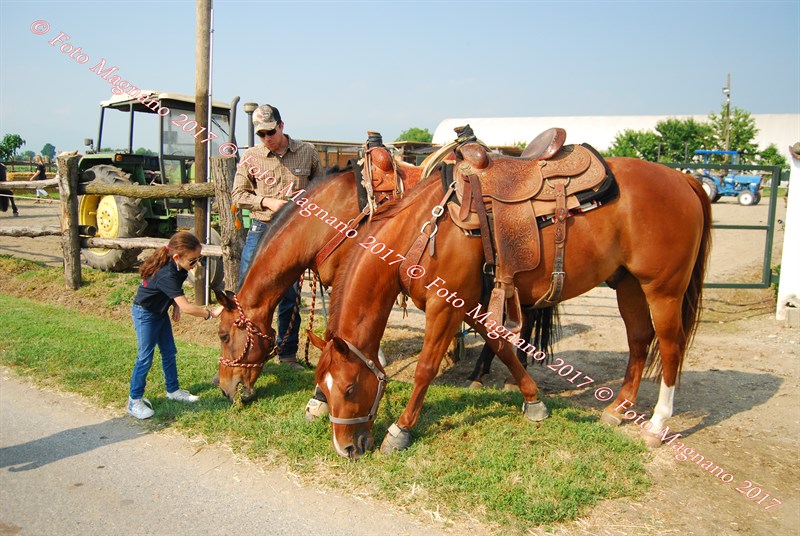 DSC_4928.JPG